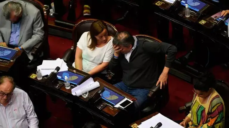 Para Cecilia Moreau, Máximo Kirchner renunció a la jefatura de bloque porque "no se sintió contenido"