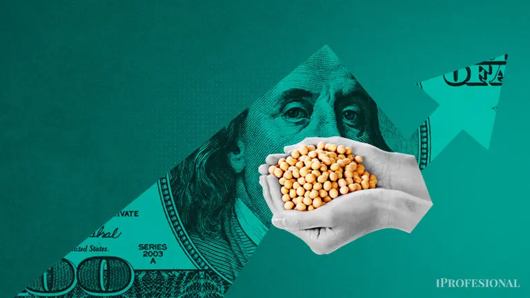 Mientras Massa festeja, en el campo todos critican al nuevo "dólar soja": ¿el remedio será peor que la enfermedad?