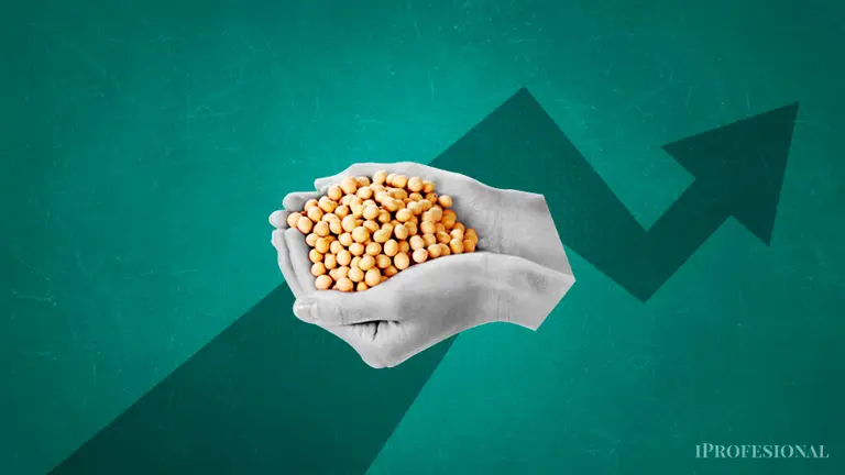 Plazo fijo sojero: cómo funciona la inversión en pesos, atada a los dólares del campo