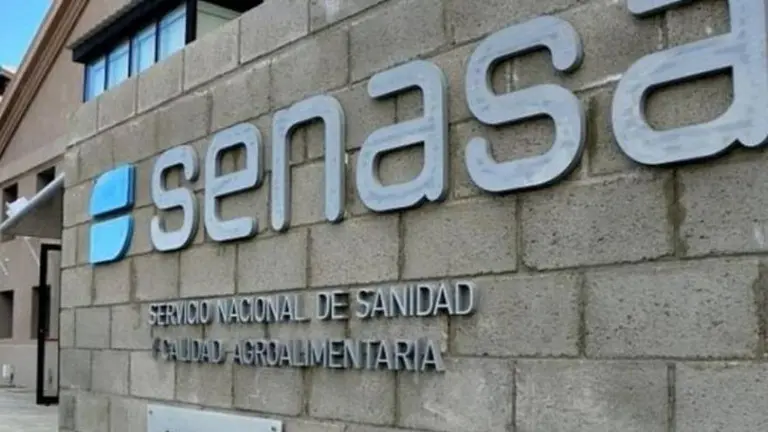 SENASA paraliza actividades por tres días en rechazo a la Ley Bases: afecta a las exportaciones y controles sanitarios