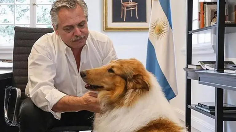 Murió Dylan, el perro de Alberto Fernández