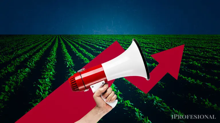 Realizarán una presentación judicial contra alza en retenciones: el campo pide nacionalizar la protesta