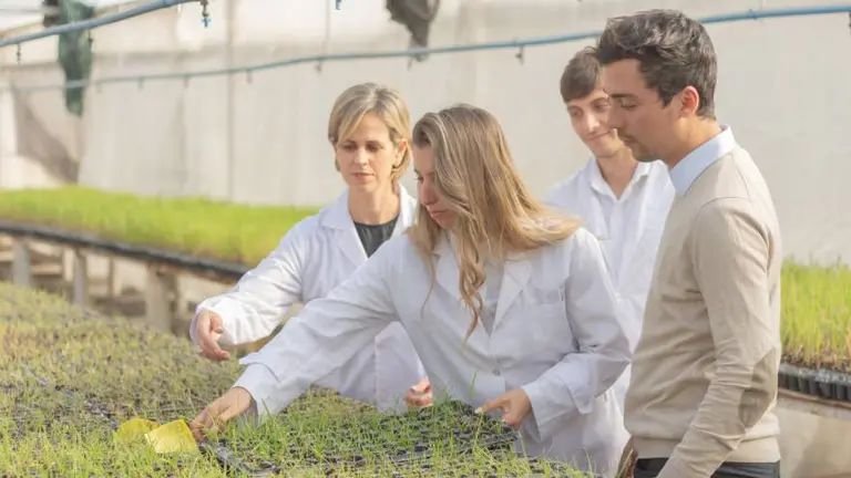 En base a bacterias, investigadoras tucumanas desarrollaron un producto que mejora cultivos y crearon una startup global