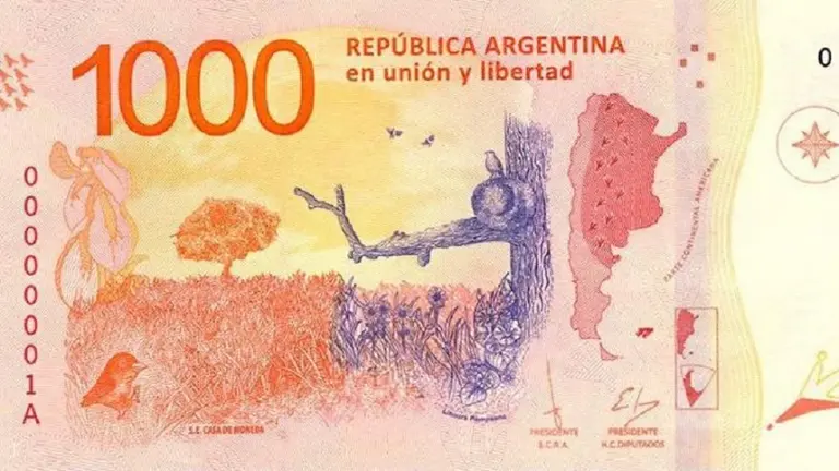 Insólito error de una diputada sobre la Patagonia "chilena" en un billete de 1.000 pesos hizo estallar las redes