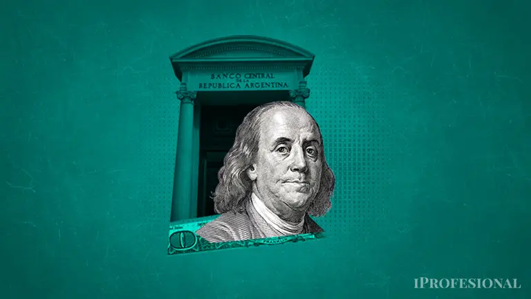 Alerta por la baja cantidad de dólares que compra el Banco Central: los riesgos que advierte un experto