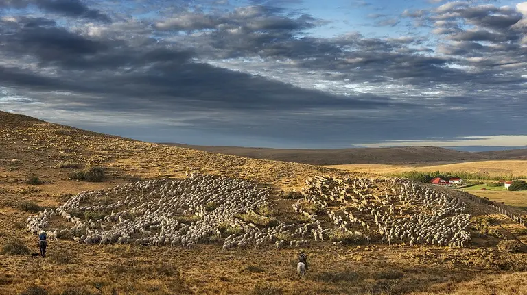Qué oportunidades laborales para jóvenes ofrece la Patagonia, la región con los sueldos más altos del país