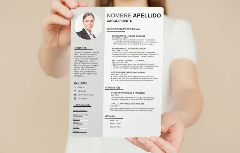 curriculum vitae experto