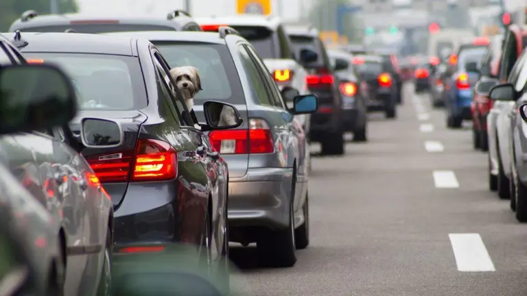 Movilidad sustentable: cómo reducir la contaminación y ahorrar nafta a la vez