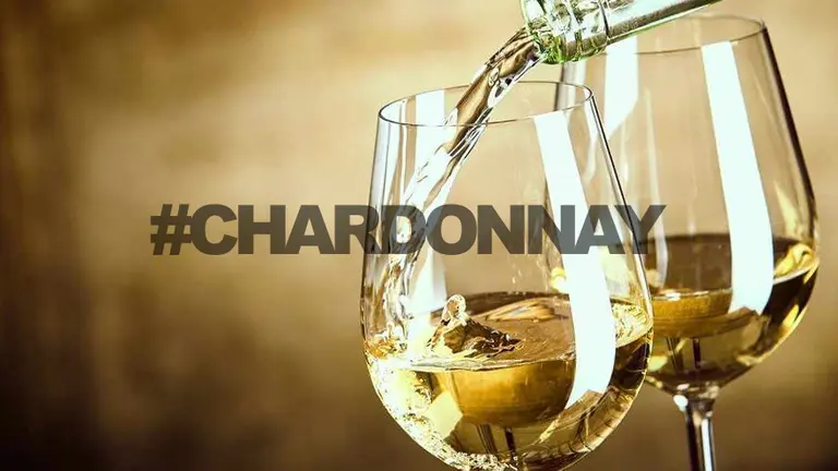 Día del Chardonnay: cómo es la guerra de estilos y vinos de diferentes precios para descubrir