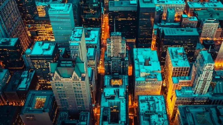 Empresas turquesa: 5 motivos por los que el modelo "teal" es de los que más impacta en la cultura laboral