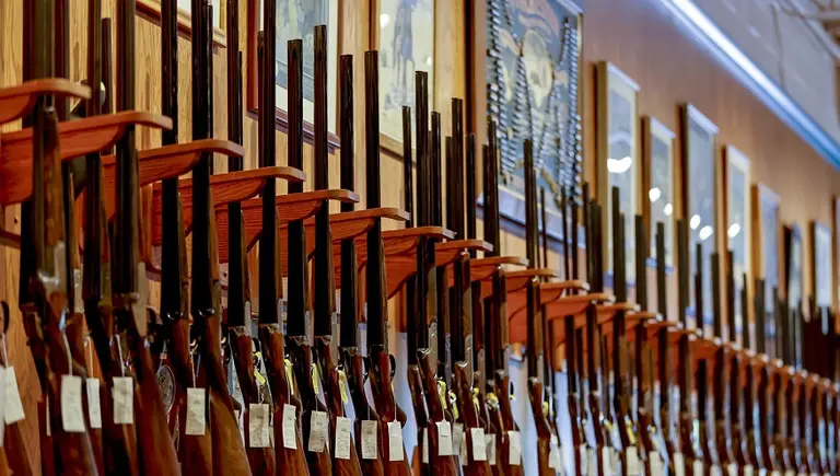 El Gobierno implementa el trámite digital "Tenencia Express" y flexibiliza requisitos para comerciantes de armas