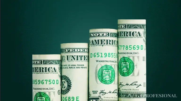 Pronósticos negativos para el dólar: el precio más alto al que podría llegar, según expertos