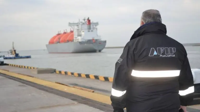 La AFIP suspende los certificados de exclusion de IVA y Ganancias para importadores