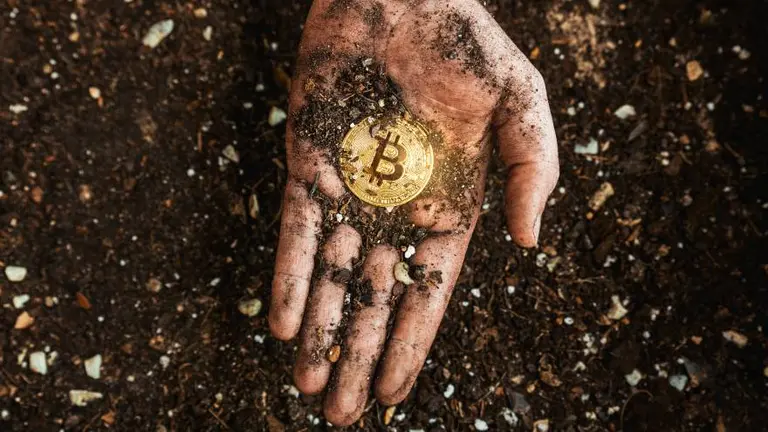 Cryptogranjas: así es el proyecto argentino que genera energía verde para minar Bitcoin