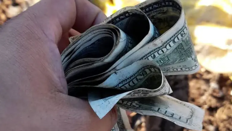 Encontraron más de 75 mil dólares desparramados en un basural de Santa Fe