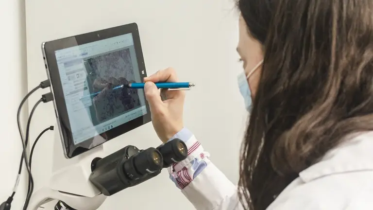 Inmune a la crisis, este sector genera un boom de empresas de tecnología