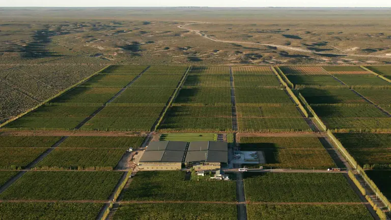 Lo nuevo de Bodega del Fin del Mundo: un vino que rinde tributo a la historia familiar