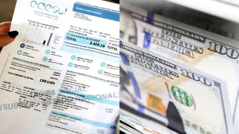 Dólar ahorro: así podés cancelar el pedido de subsidios para comprar el cupo de u$s200