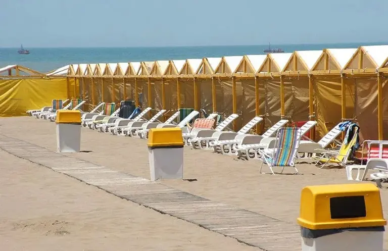 Mar del Plata carpa precio