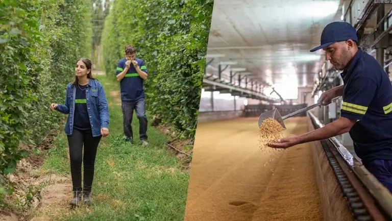 Cervecería y Maltería Quilmes abre su convocatoria de pasantías