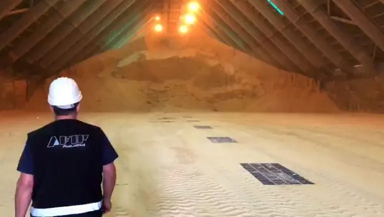 La Aduana descubrió una millonaria evasión de la mayor exportadora de expeller de soja