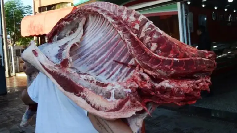 Sigue la media res: se derogó la norma que establecía el troceo obligatorio