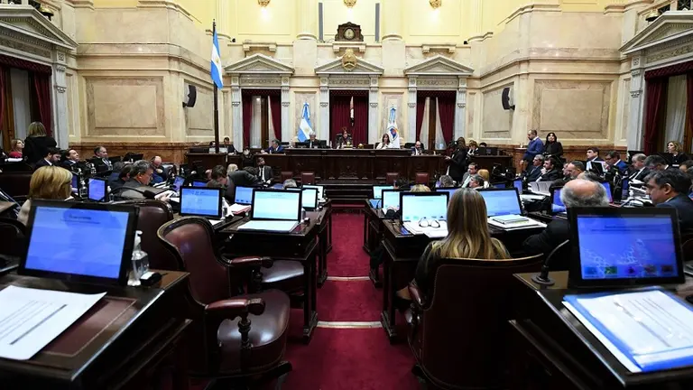 Senado contra reloj: el oficialismo necesita cortar la parálisis y aprobar una ley que es clave para el Gobierno