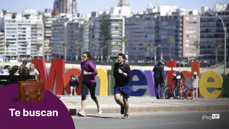 Uruguay busca talento argentino: qué puestos necesita, cómo aplicar y los requisitos para emigrar