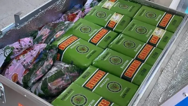 Qatar 2022: la Selección eligió una yerba mate uruguaya producida en Brasil y hay quejas