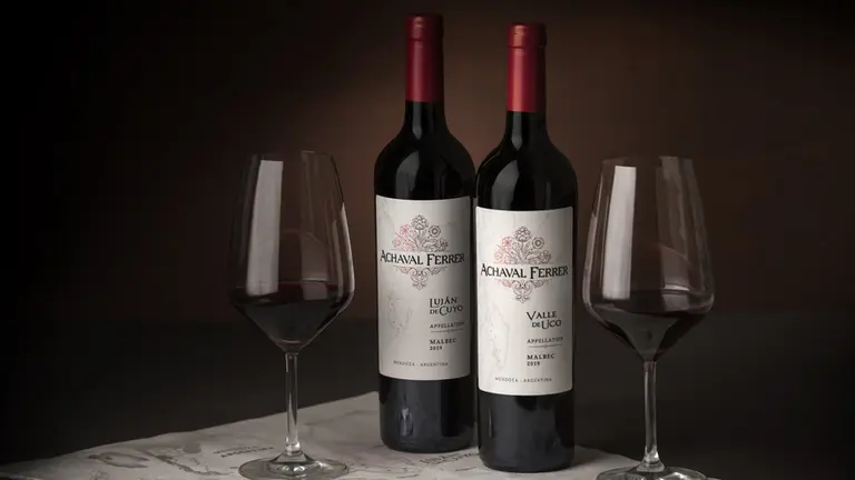 Dos vinos recrean el mapa del Malbec de alta gama de Mendoza: por qué vale la pena probarlos