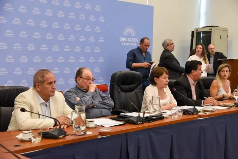 Diputados debatió la creación de cinco universidades nacionales