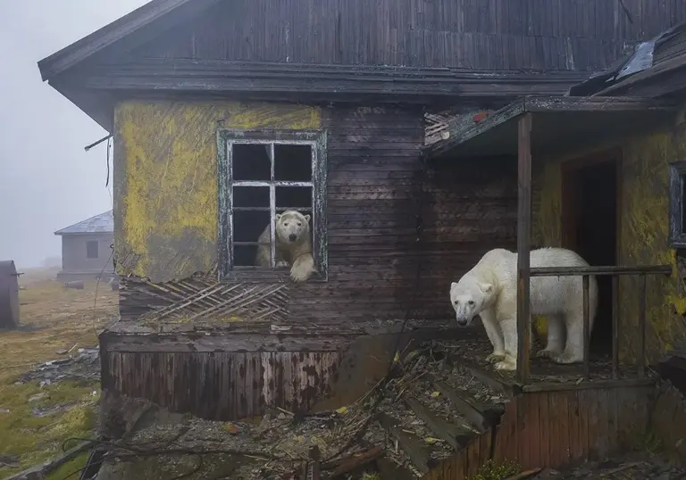 En imágenes: estas son las mejores fotos de naturaleza de 2022