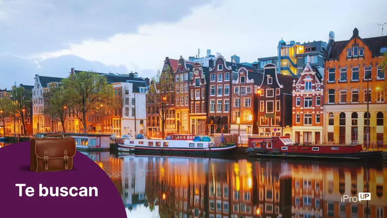 Sin rencores por el Mundial: Países Bajos busca talento argentino para 2023 y así podés aplicar