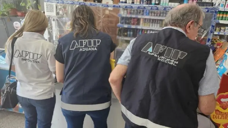 Trabajo informal: la AFIP controla los principales centros turísticos y estos son los resultados