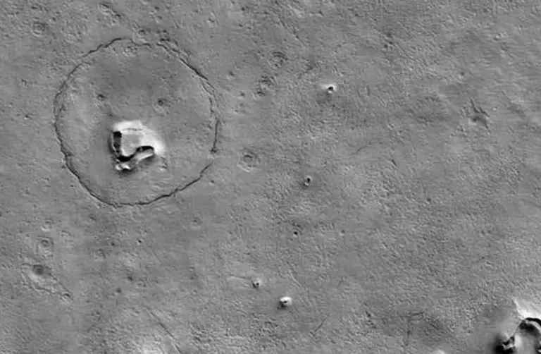 La NASA logró capturar un "oso" en la superficie de Marte