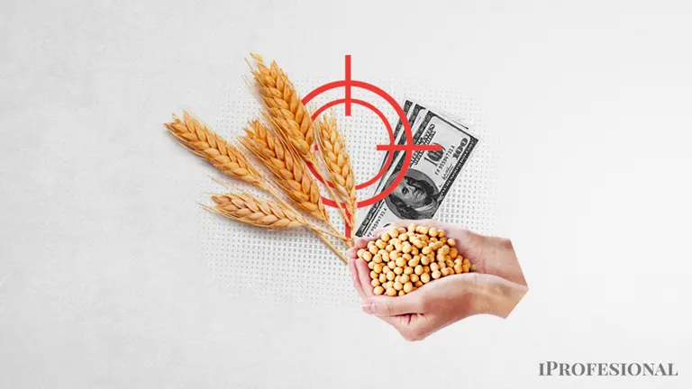 Impacto de la sequía en las reservas: cómo se cubrió el "agujero" y cuándo llegarán los nuevos dólares de la soja