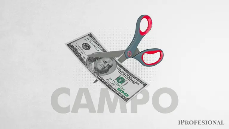 Golpe al mercado cambiario: podrían empeorar pronósticos de la cosecha por la ola de calor