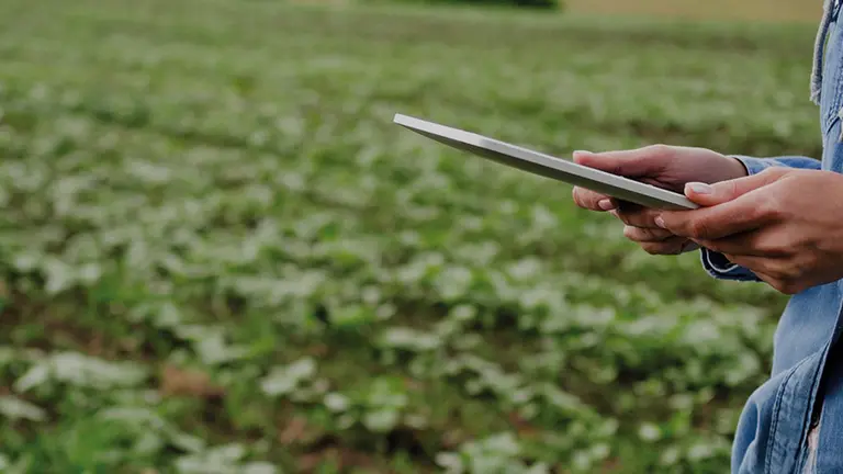 Sustentabilidad para el campo: startup argentina impulsa la agricultura regenerativa a gran escala