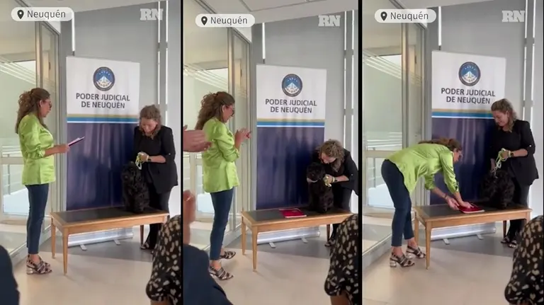 La Justicia argentina le tomó juramento a un perro llamado "Oreo": ¿qué función cumplirá?