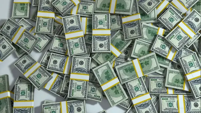 El economista que sigue Milei dio pista sobre como sería una dolarización libertaria