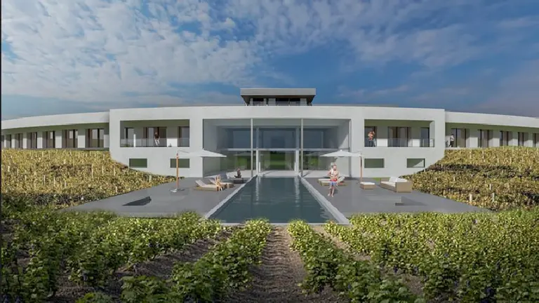 Vinos: construyen colosal complejo con bodegas, viñedos, chacras y hotel en Neuquén por el boom de Vaca Muerta