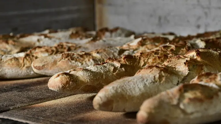 Por la suba en los costos también aumenta el pan: ¿a cuánto se va el kilo?