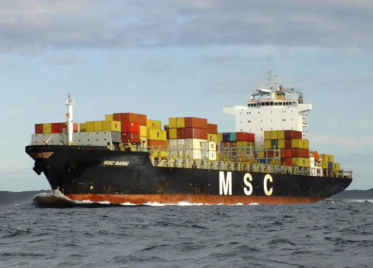 Fletes y giro de dólares: el curioso caso de la naviera MSC que encendió las alarmas