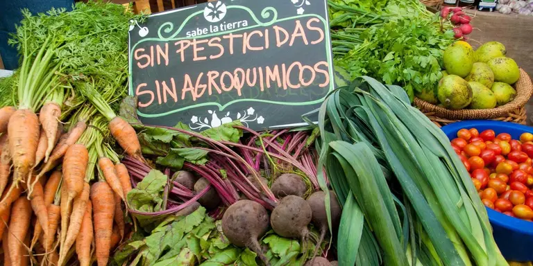 Con un régimen de productos orgánicos, diputados buscan aumentar empleo y exportaciones