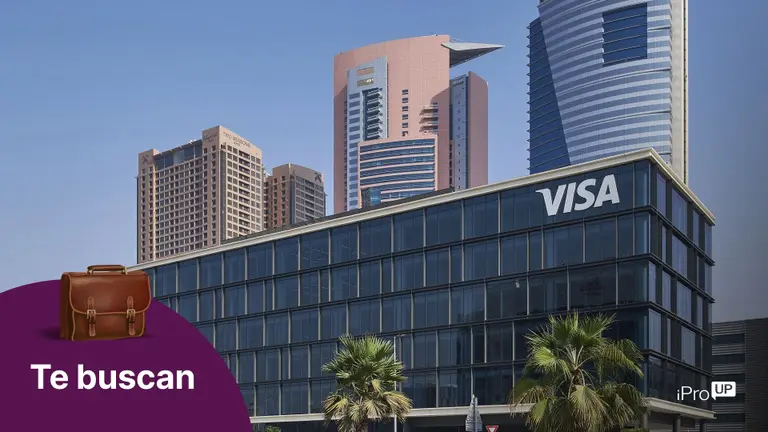 Visa busca profesionales en la Argentina: qué perfiles necesita, requisitos y dónde postularse