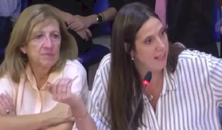 En plenario de Diputados, se inició el debate sobre tareas del cuidado