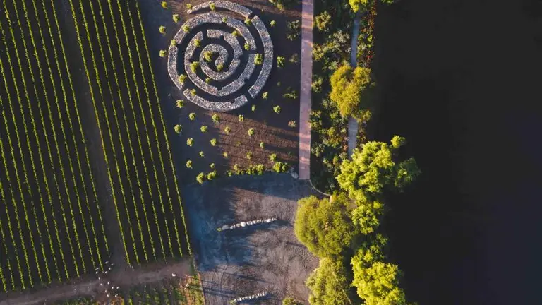 Siete ricos vinos de Amalaya para redescubrir esta bodega salteña