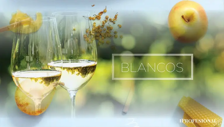 Vinos de estreno: 6 nuevos blancos y naranjos de diferentes gamas de precios que hay que probar