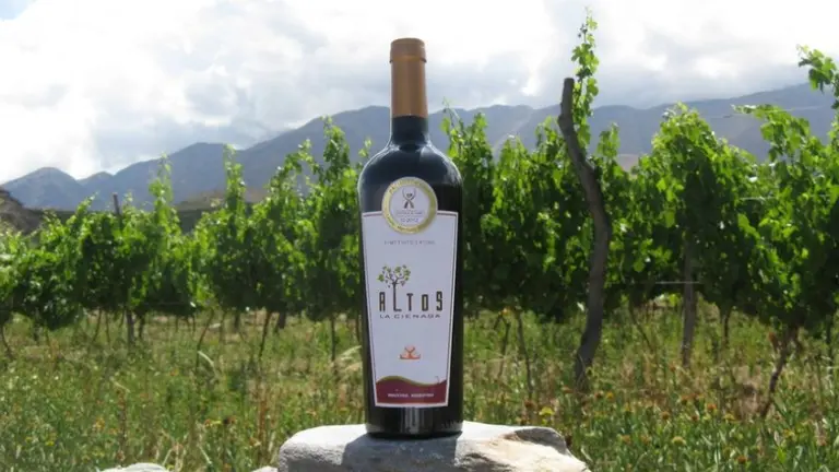 Cómo son los vinos extremos del enólogo que más ruido está haciendo en Tucumán