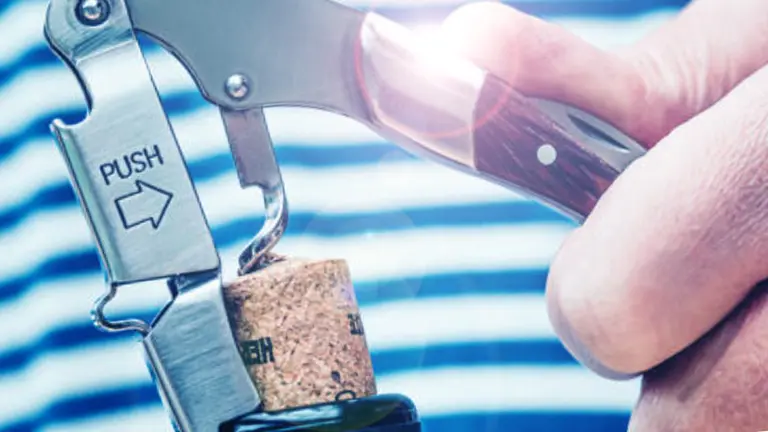 Estos son los 10 mejores vinos argentino del 2023, según el voto de más de 100 enólogos